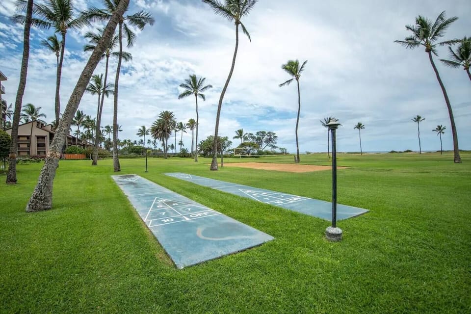 Sport court