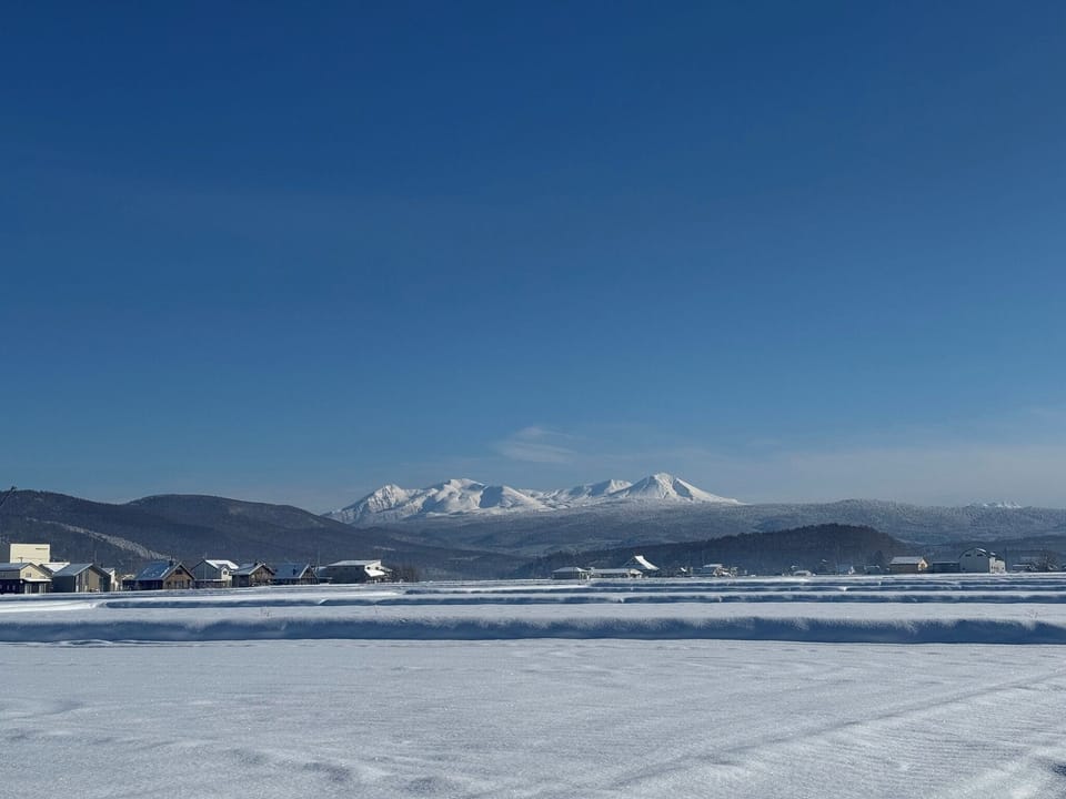 Winter view from the living room