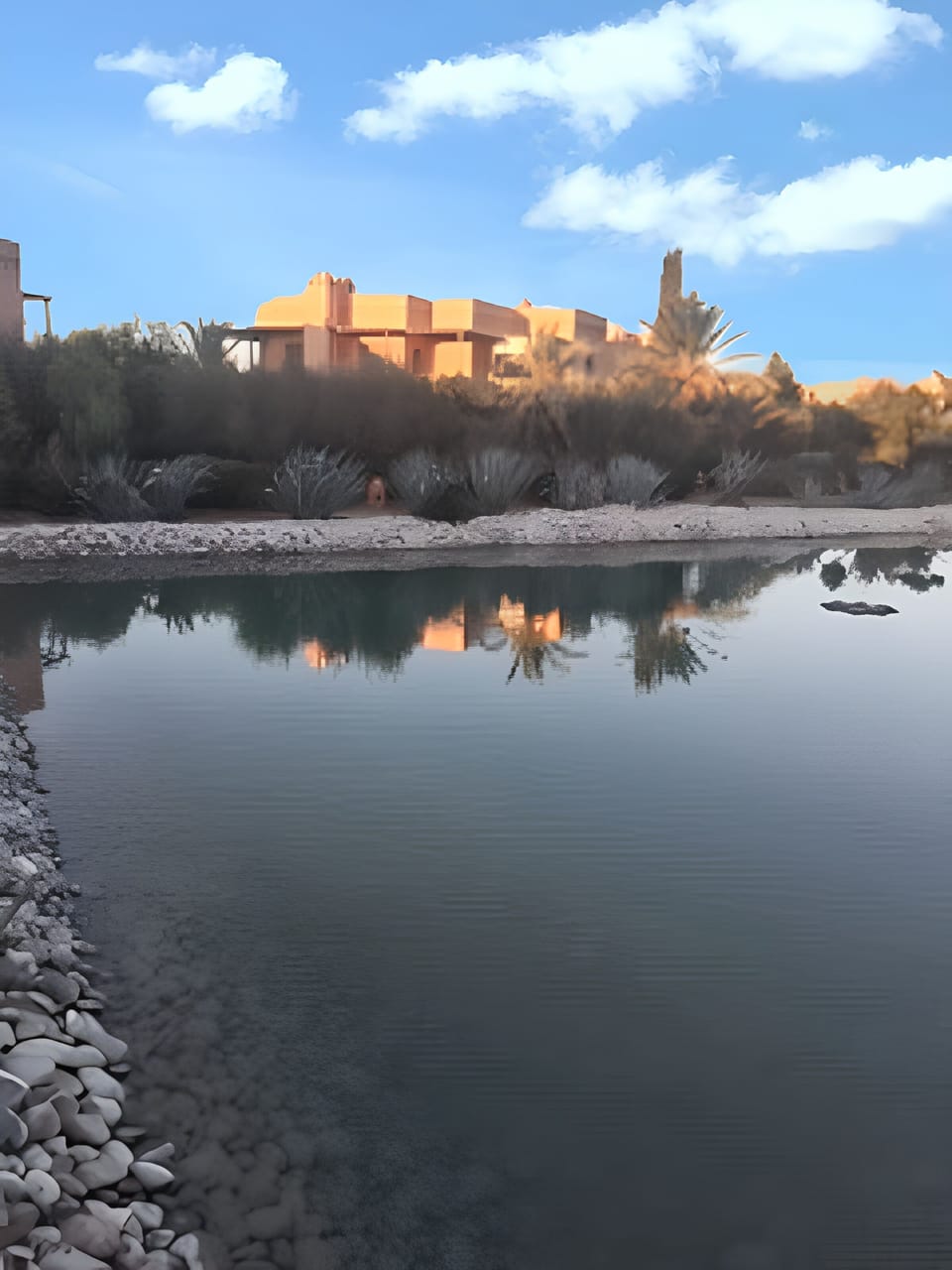 Lake view