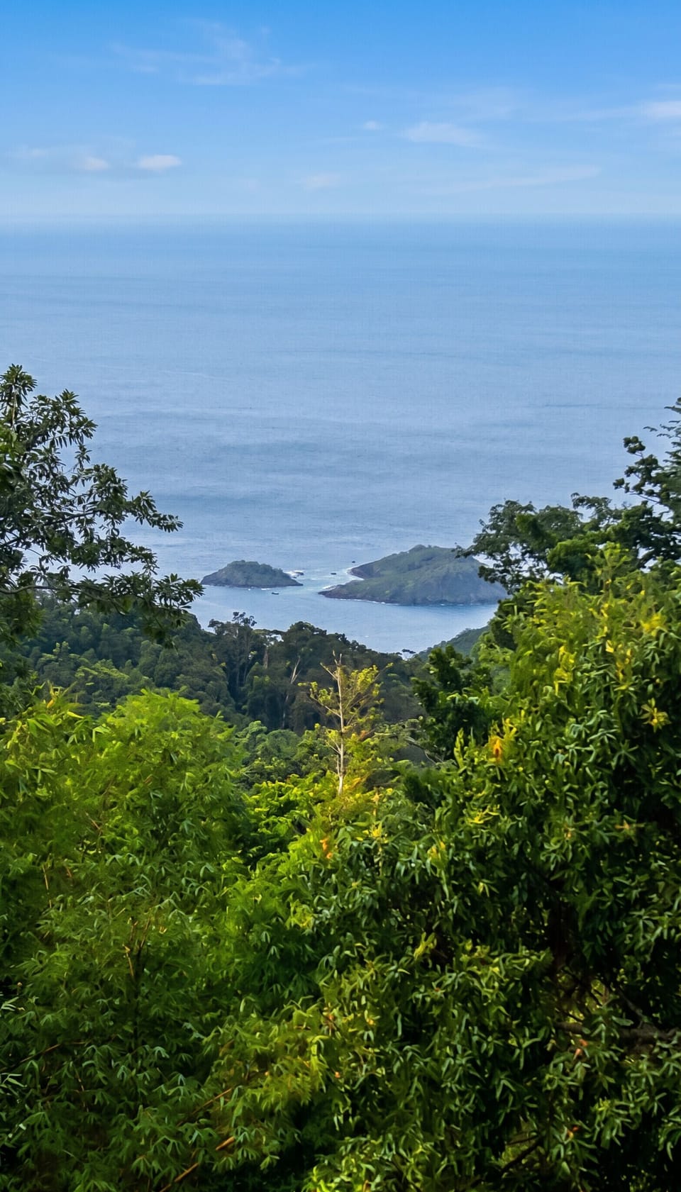 Areal view