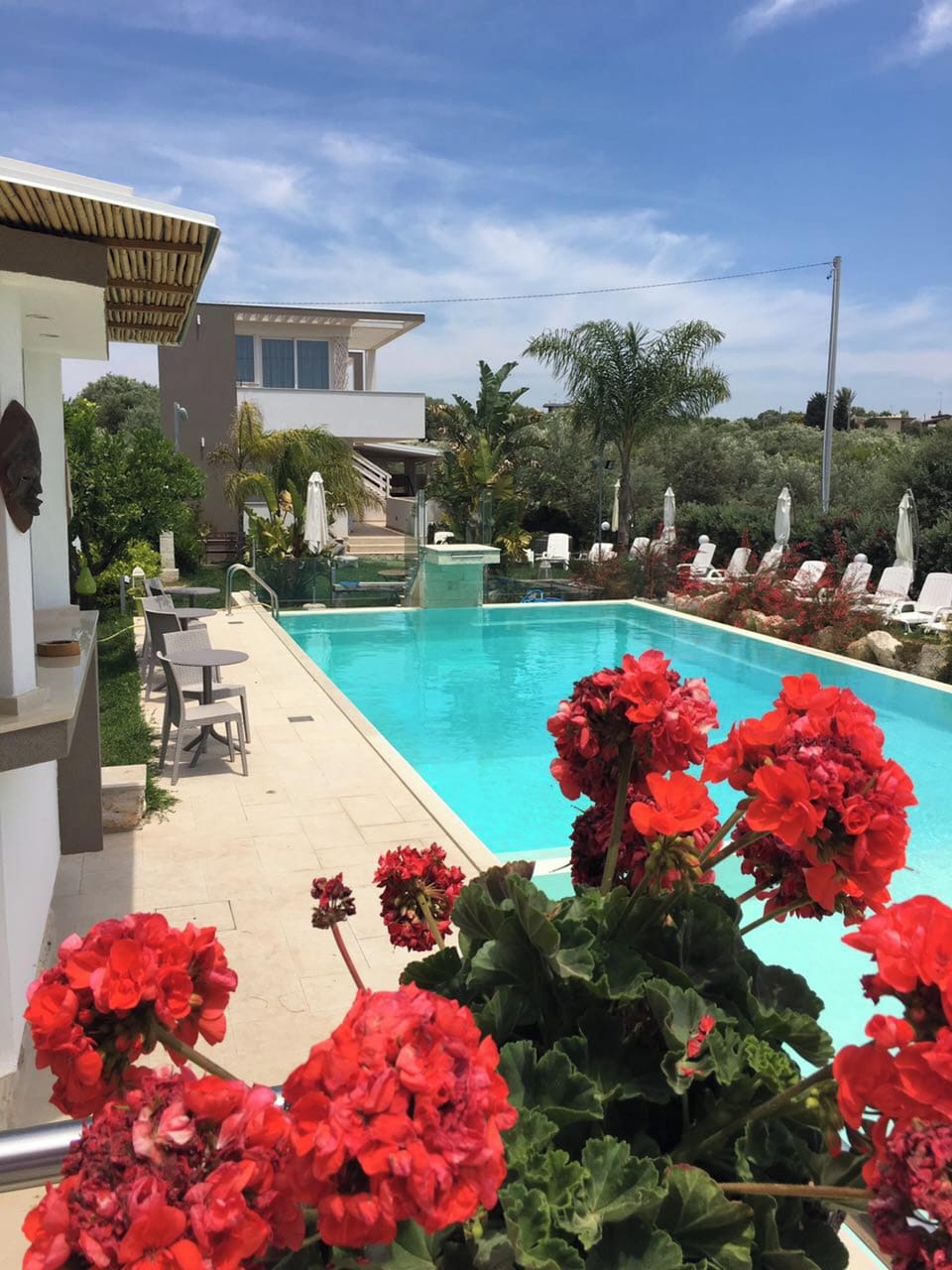 Swimming pool view