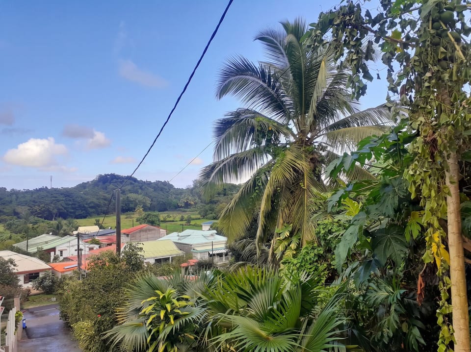 Areal view
