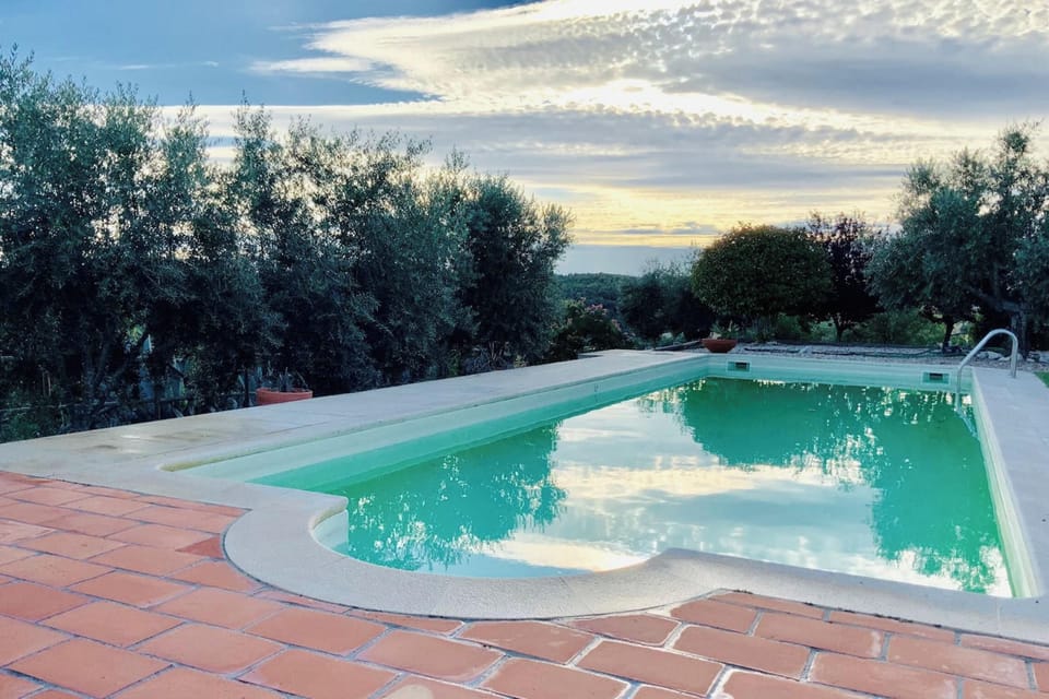 Swimming pool view