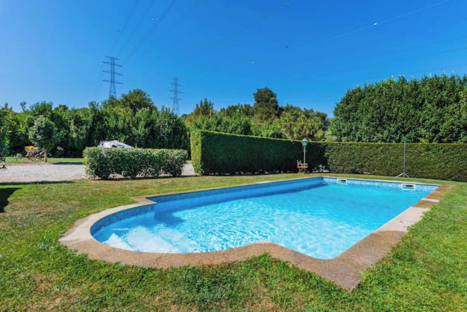 Swimming pool view