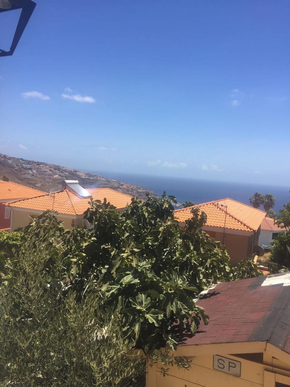 Areal view