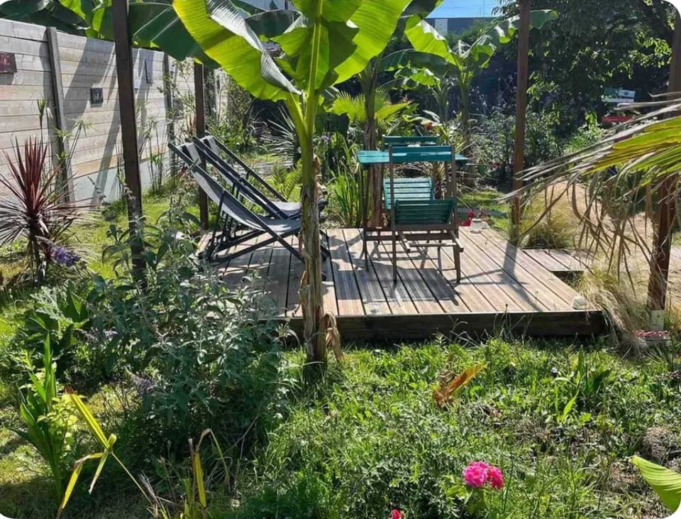 Garden view