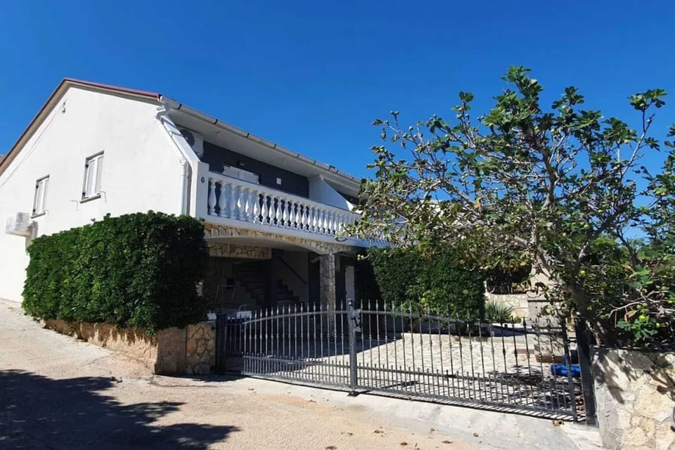 Front view