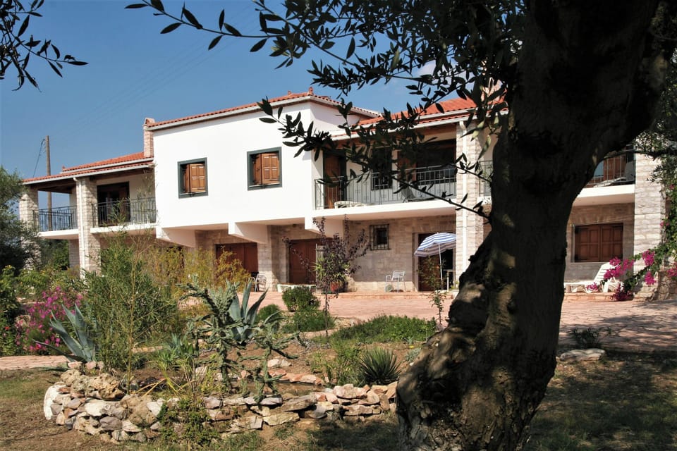 Front view