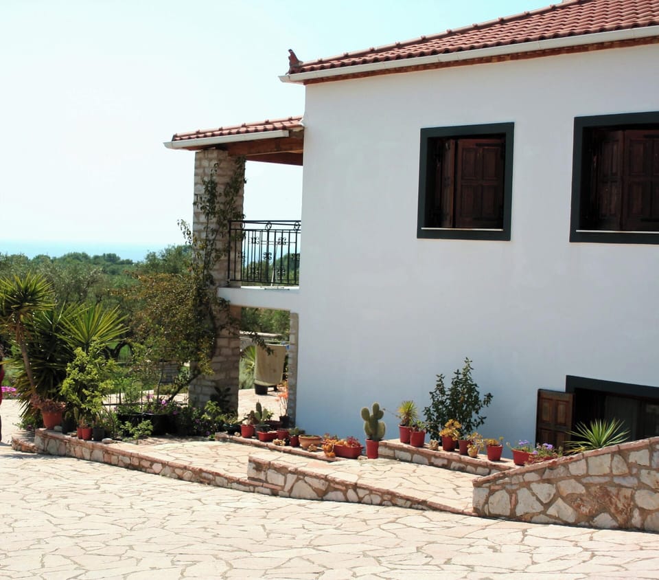 Back view