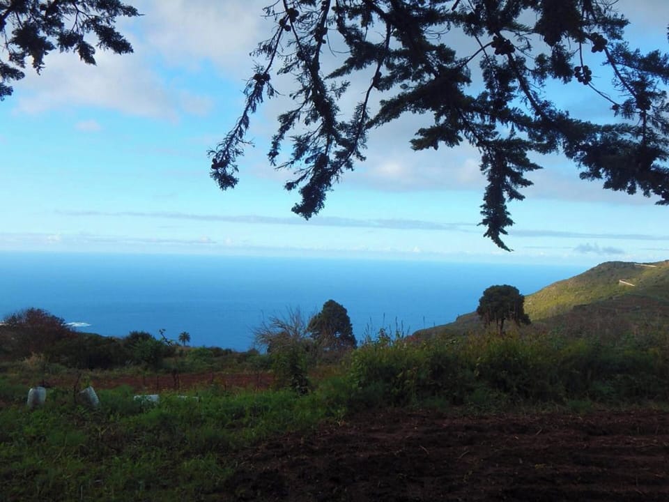 Areal view