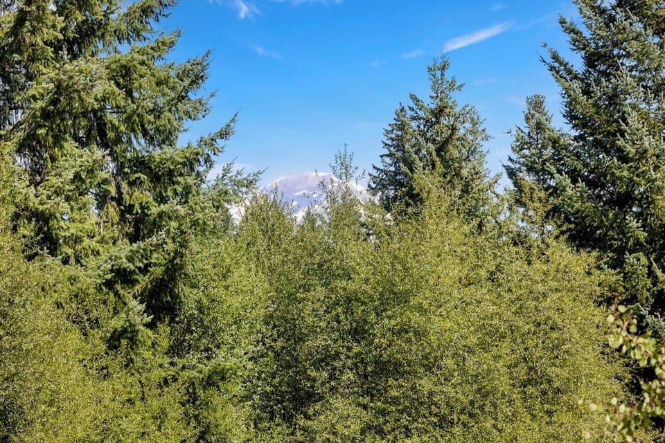 Mt Adams