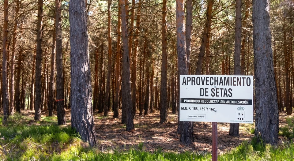 Surroundings