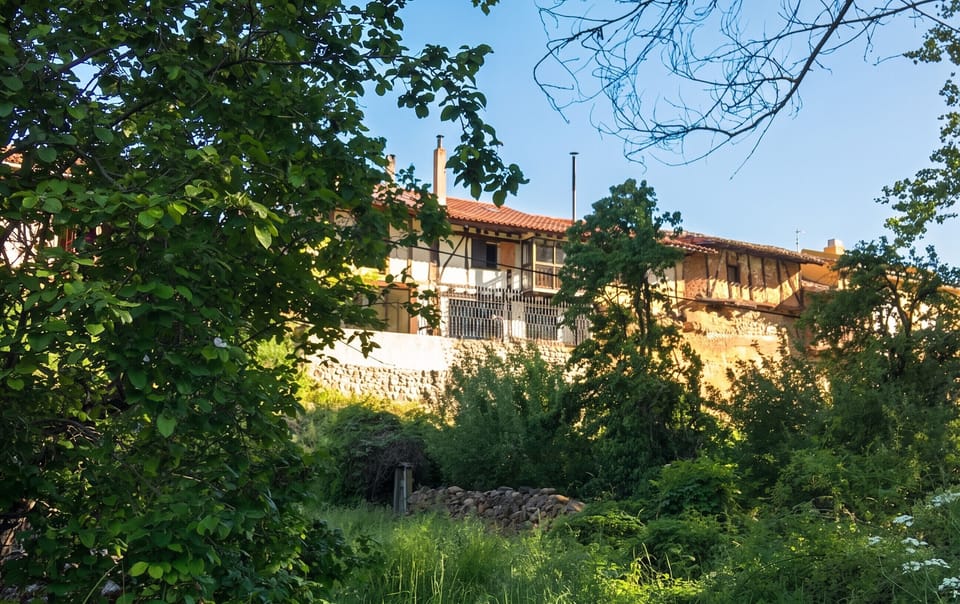 Back view