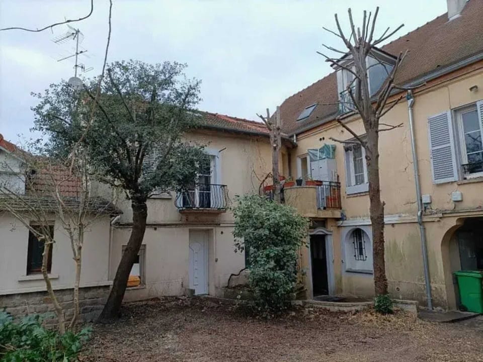 Back view