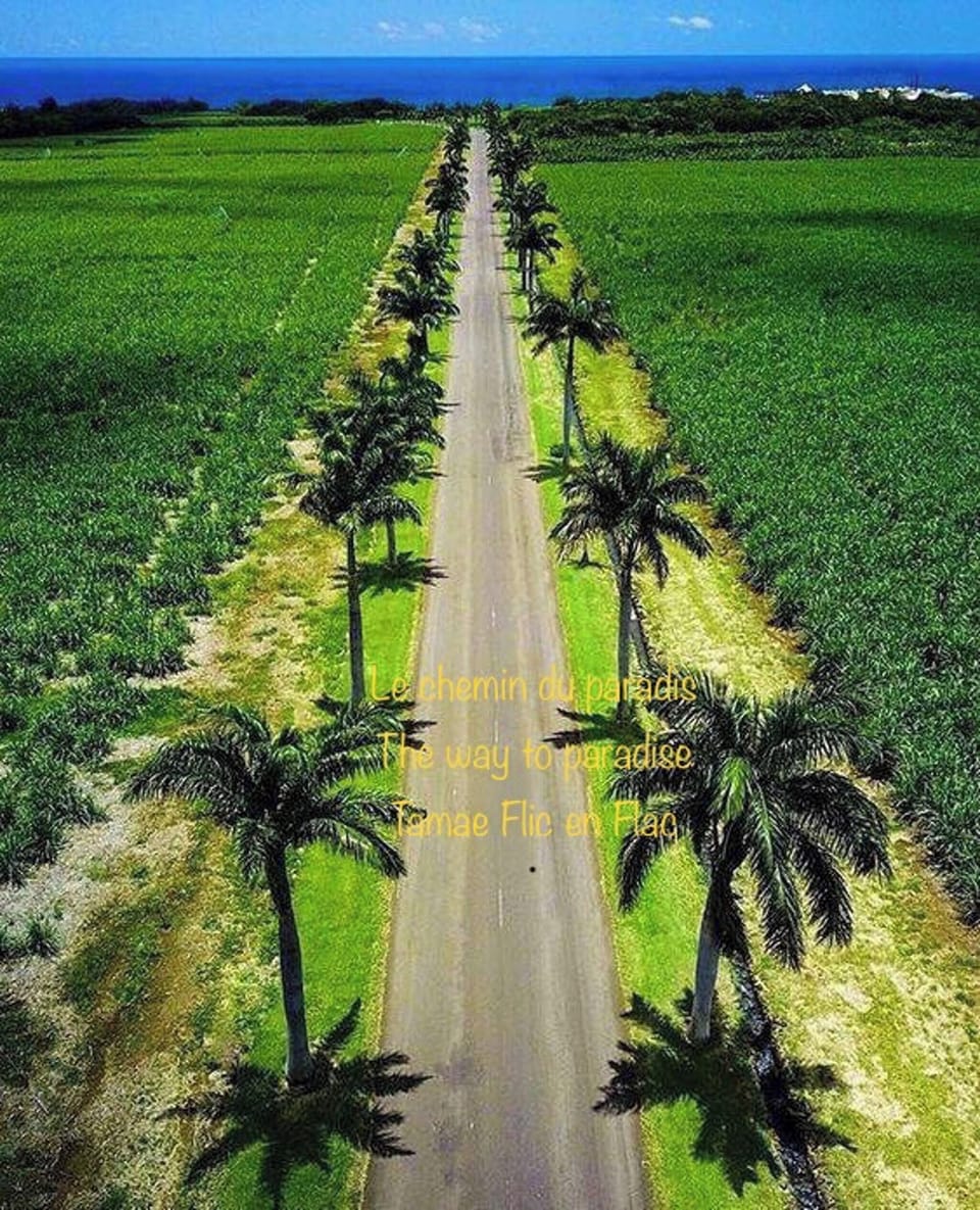 Areal view