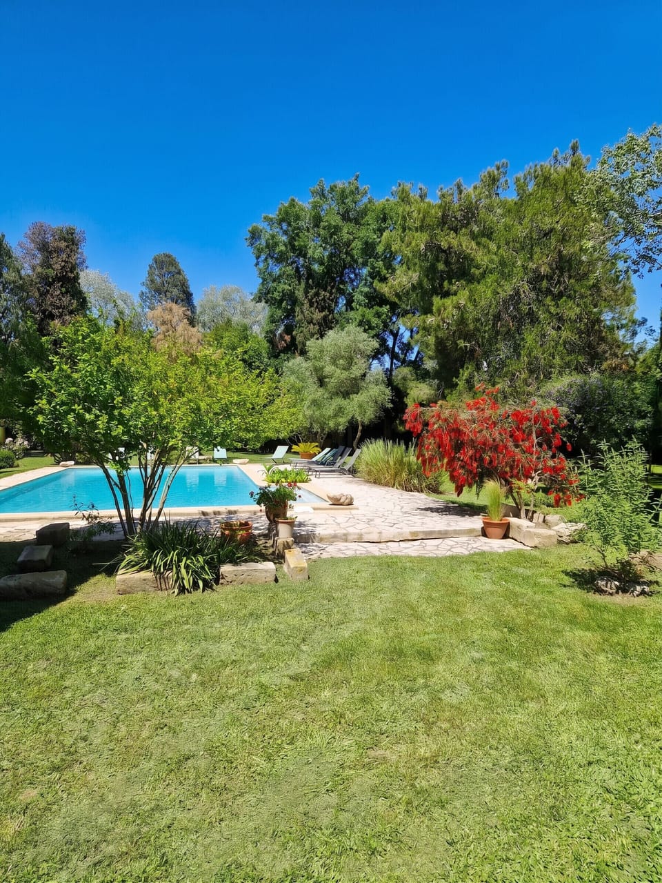 Swimming pool view