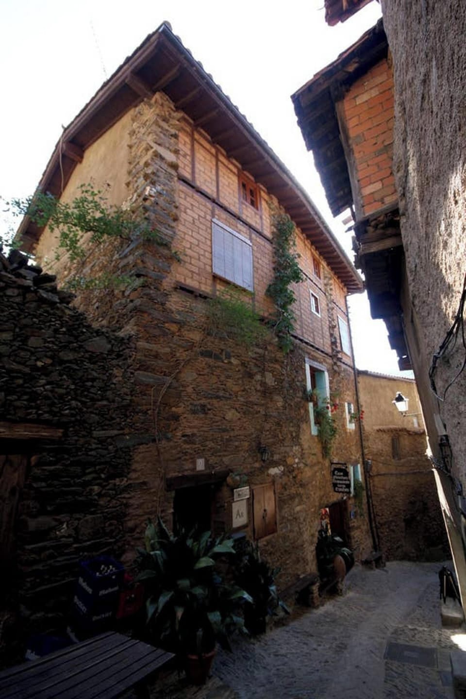 Front view