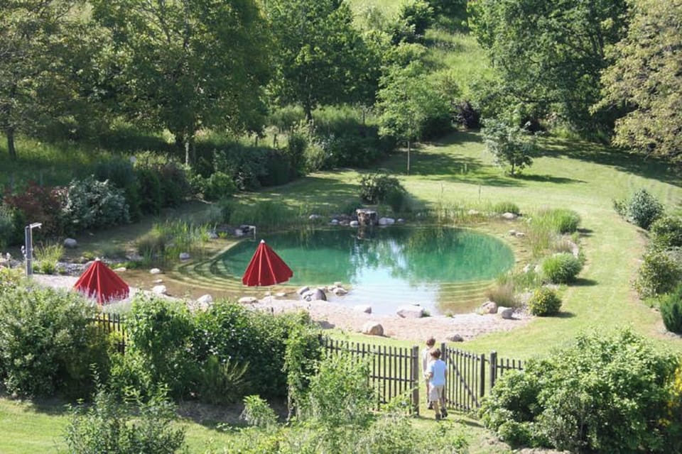 Swimming pool view