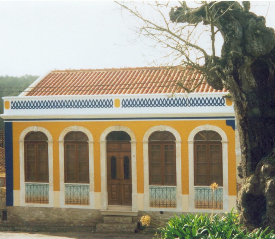 Front view