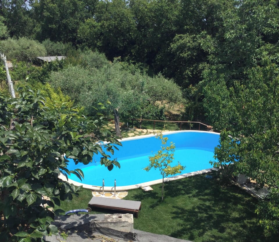 Swimming pool view