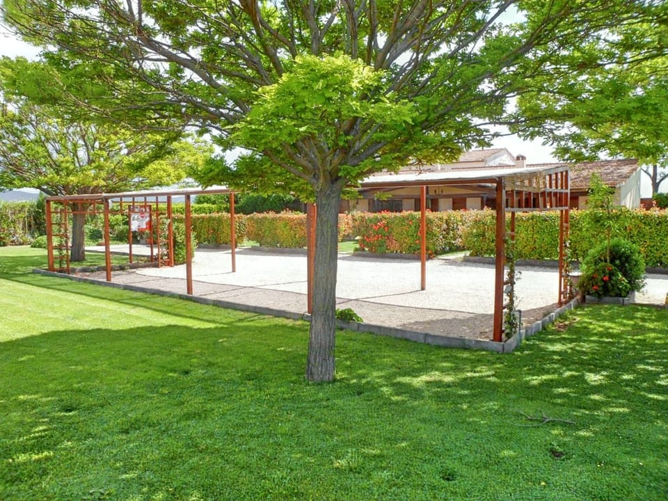 Petanque strip
