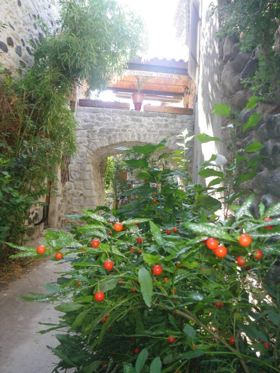 Terrace