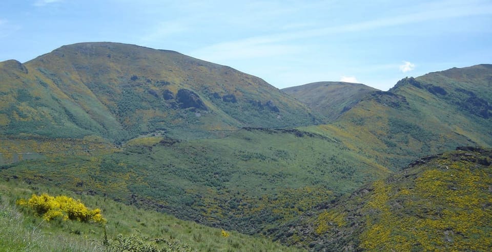 Mountain view