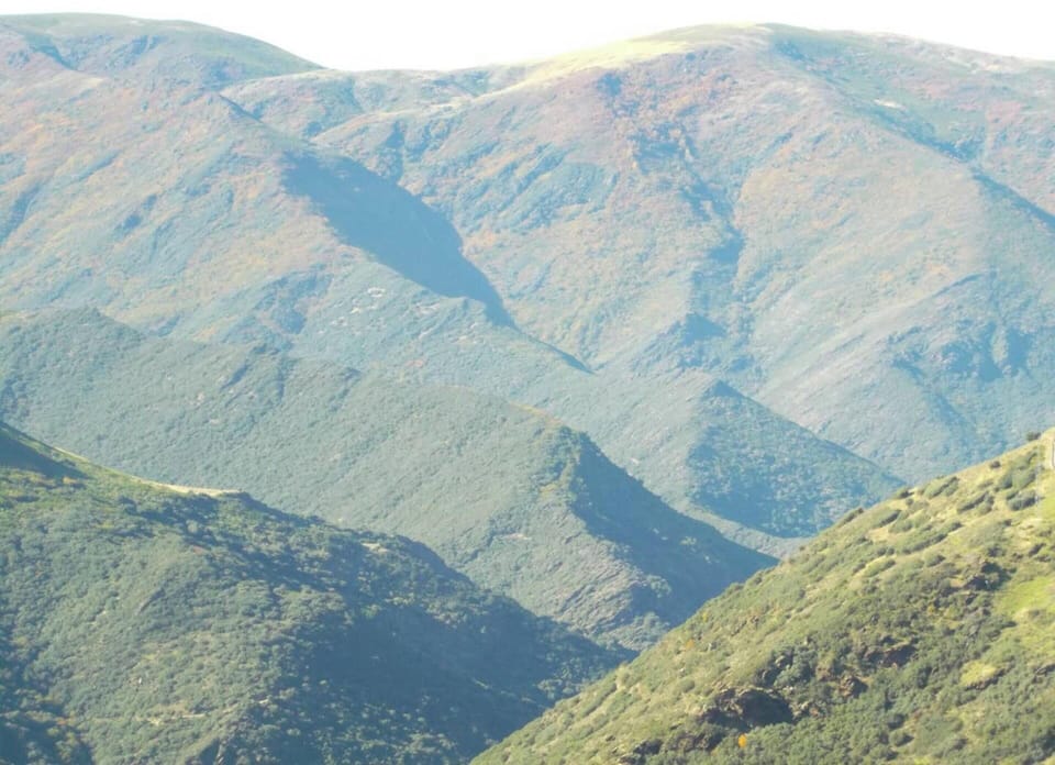 Mountain view