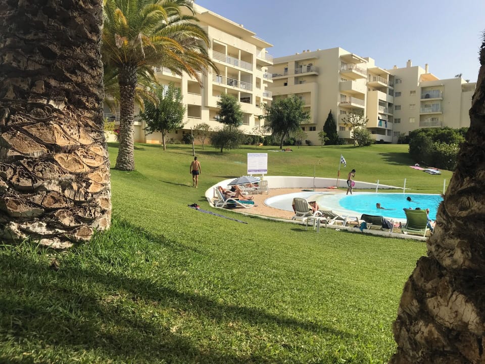 Swimming pool view