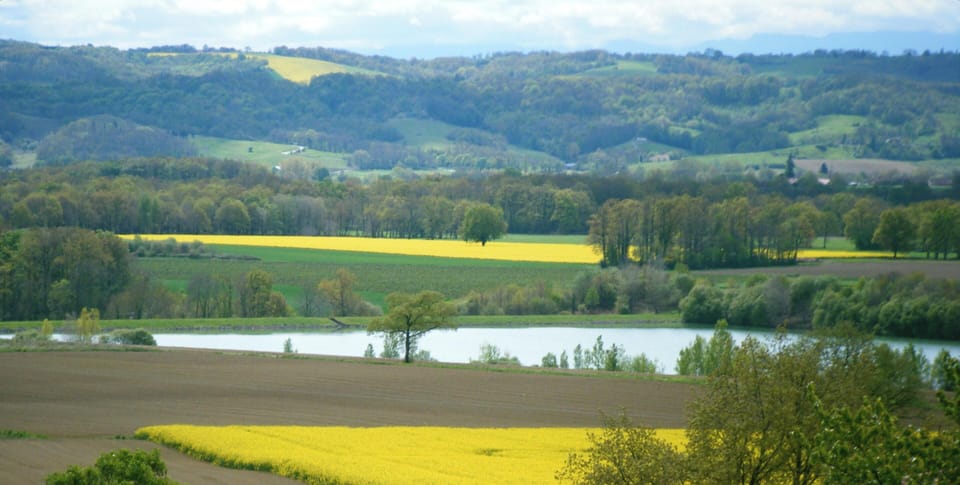 Areal view