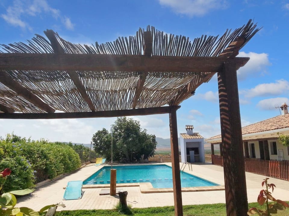 Swimming pool view