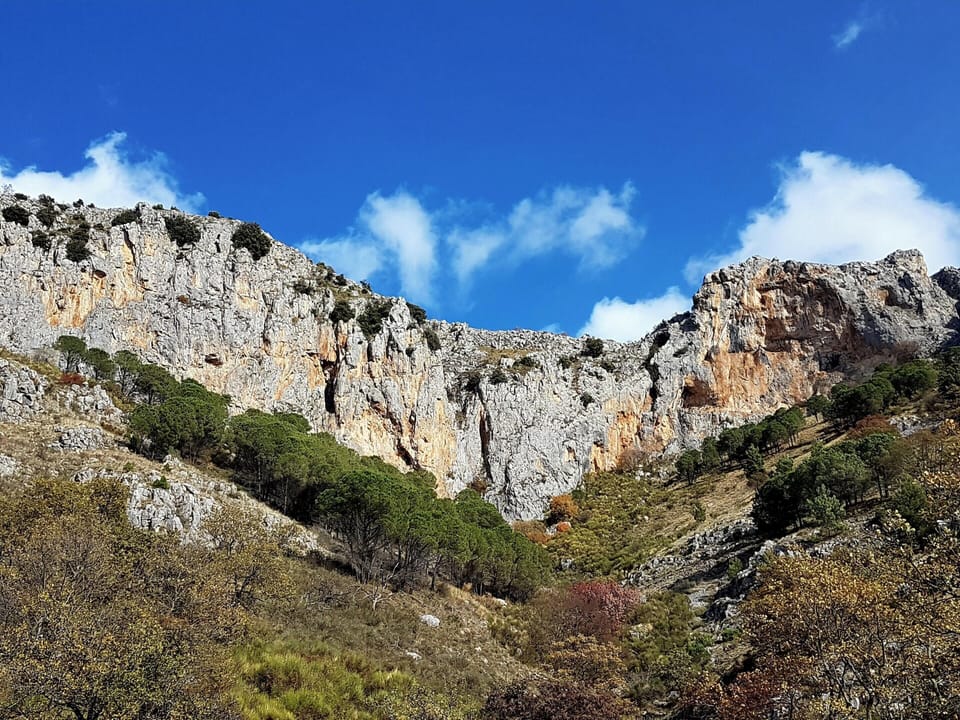 Areal view
