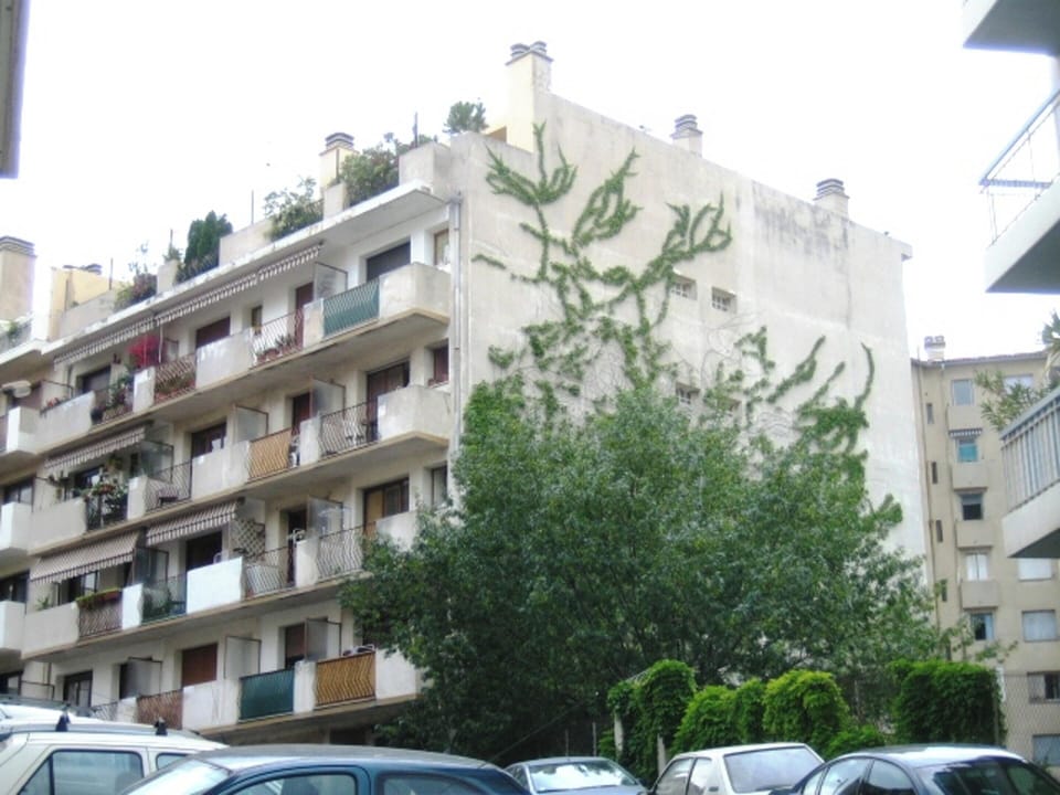 Front view