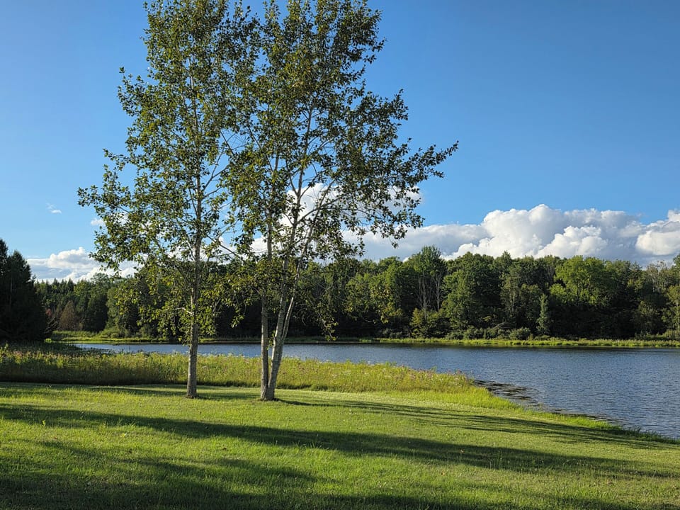 Northern View of Lake