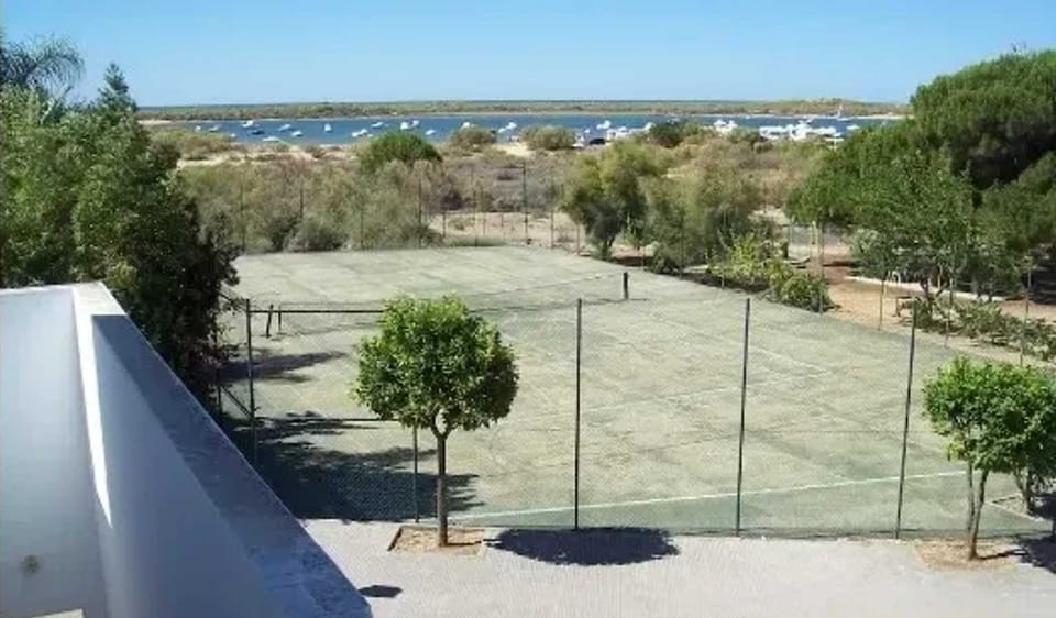 Field (volley/tennis)