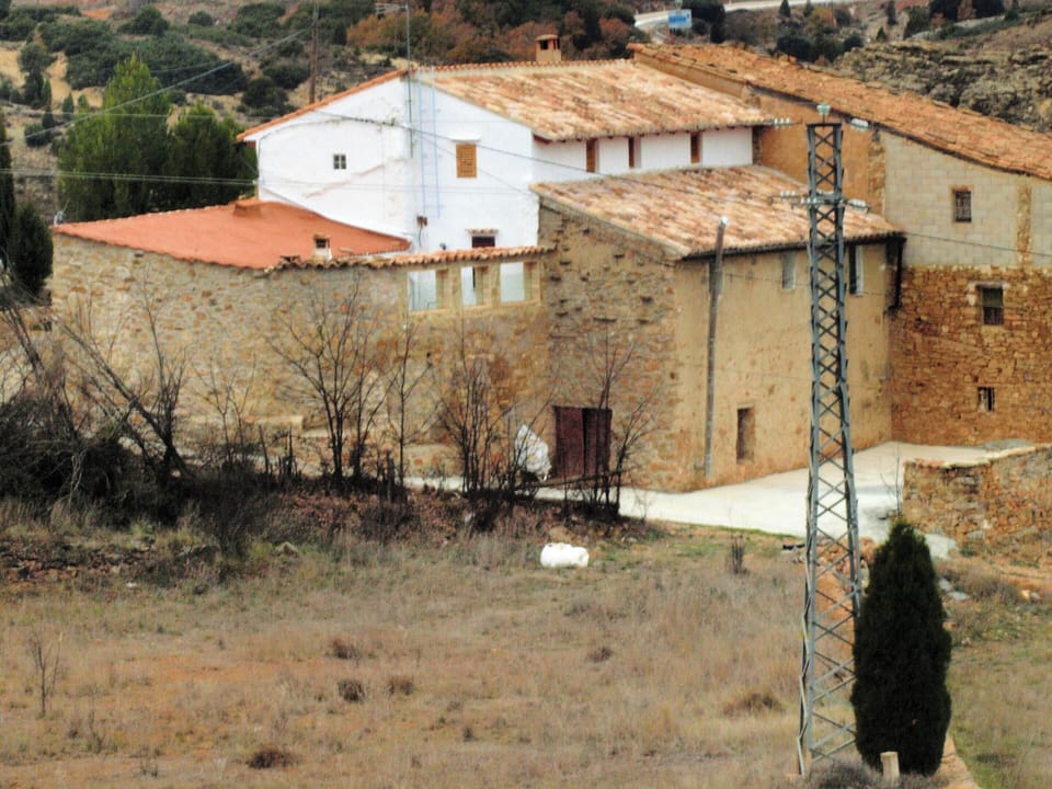 Back view