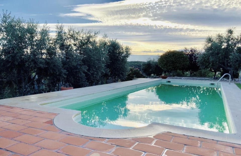Swimming pool view