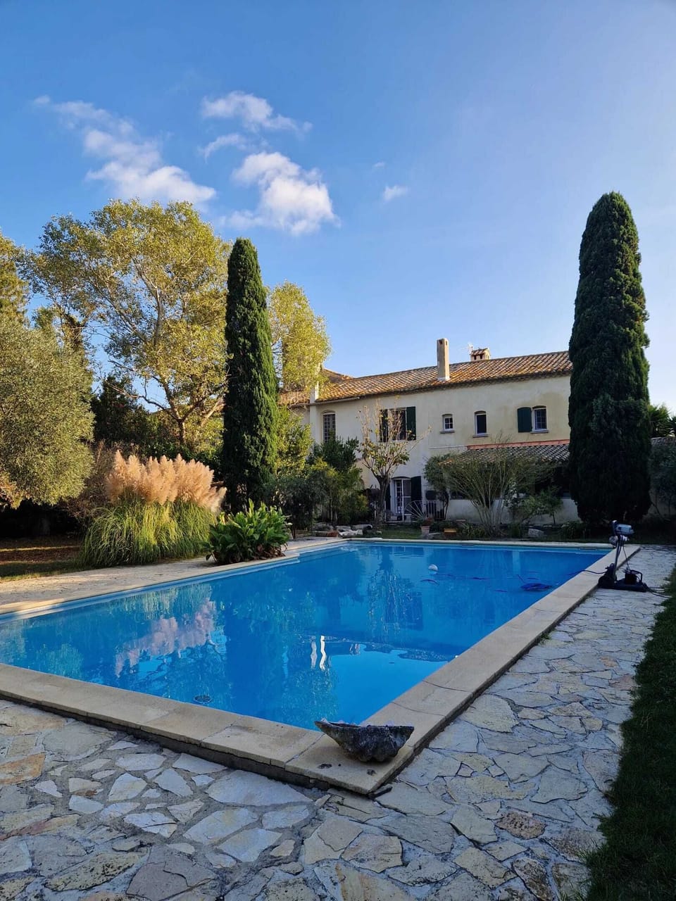 Swimming pool view