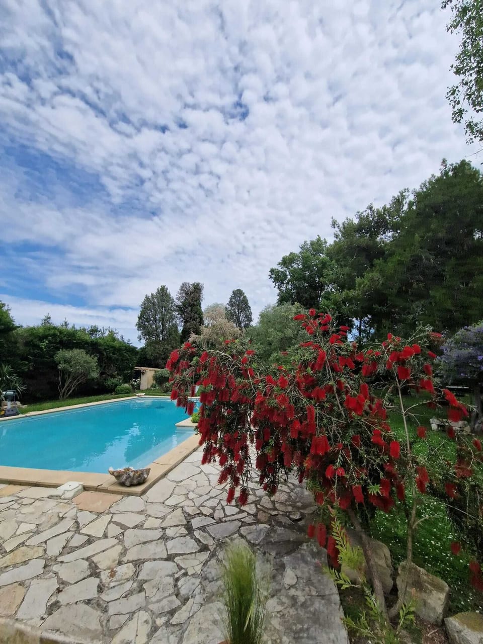 Swimming pool view