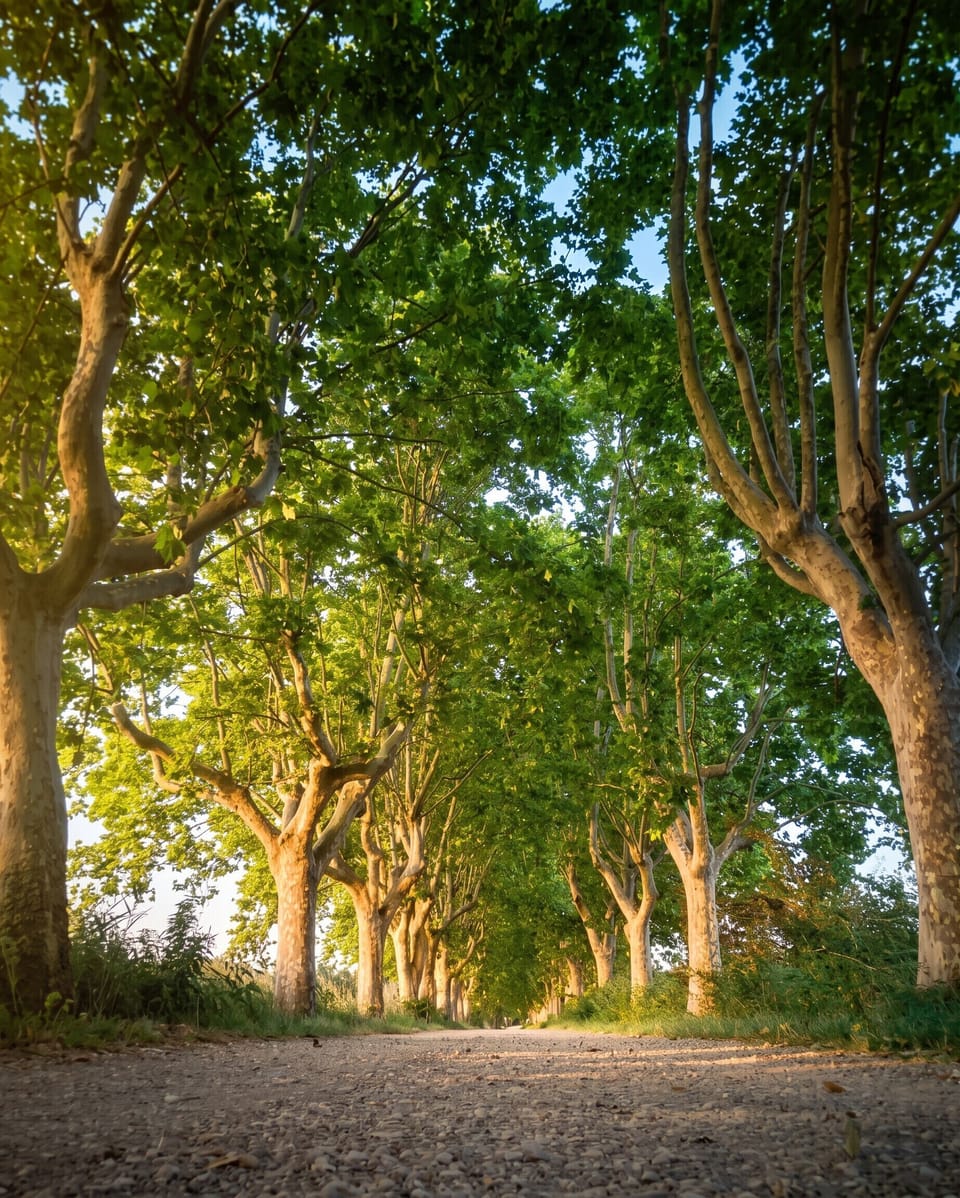 Surroundings