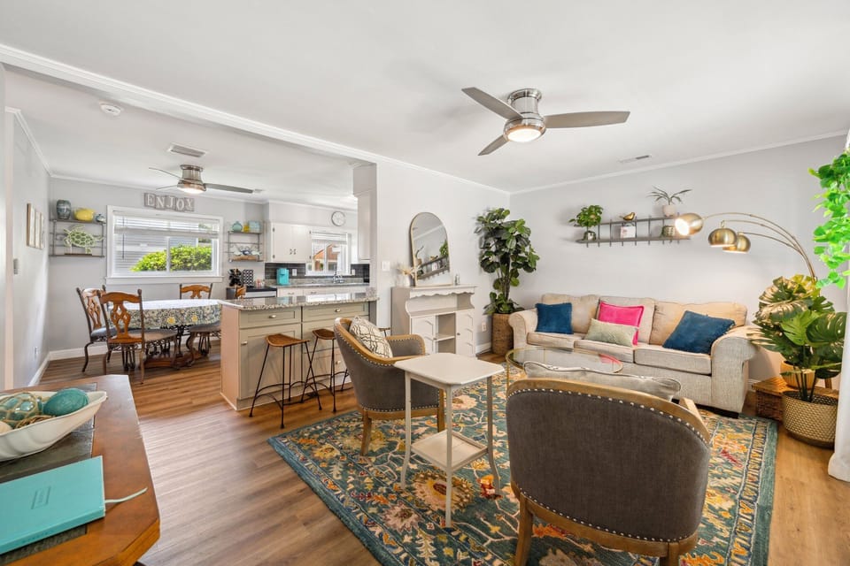 Living Room - front house - queen sized pull-out couch