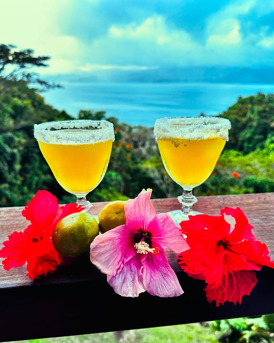 The perfect way to unwind at the end of a day of exploring is to enjoy a cocktail