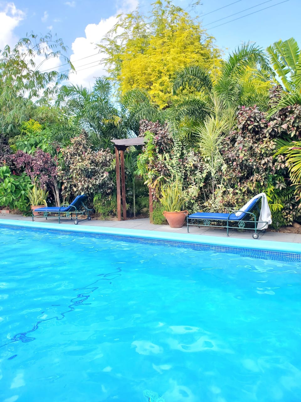 Outdoor pool shared among all guests.