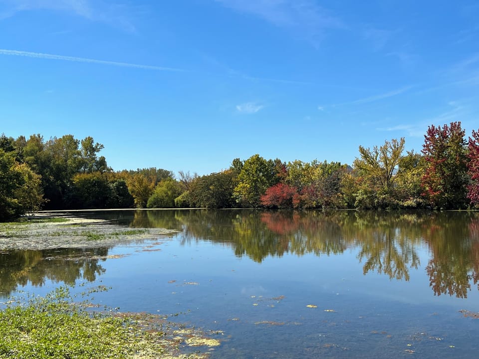 Memorial Park in Hendersonville.  Fishing, walking, playgrounds, duck feeding…