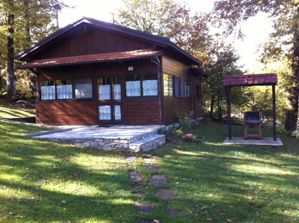 Front view