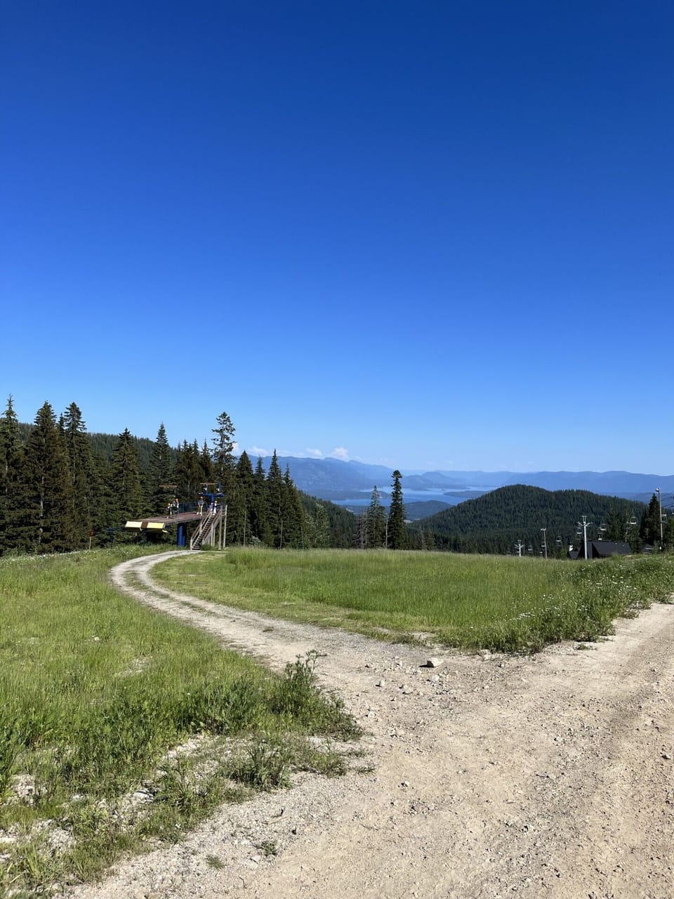 Summertime Trails - great for mountain biking, hiking & picking huckleberries!