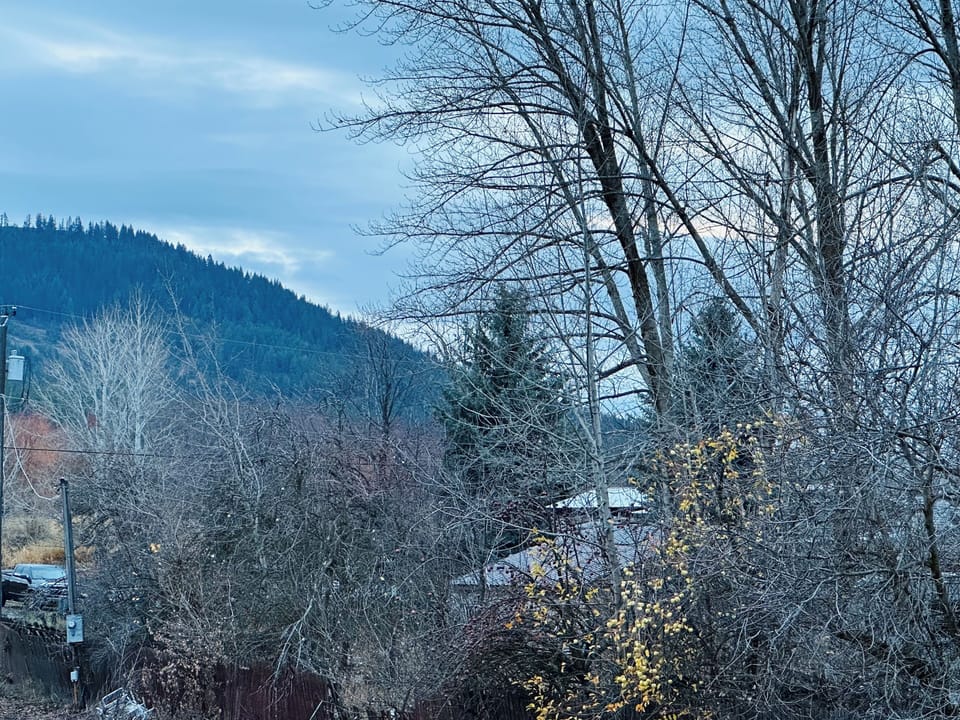 Another Mountain View