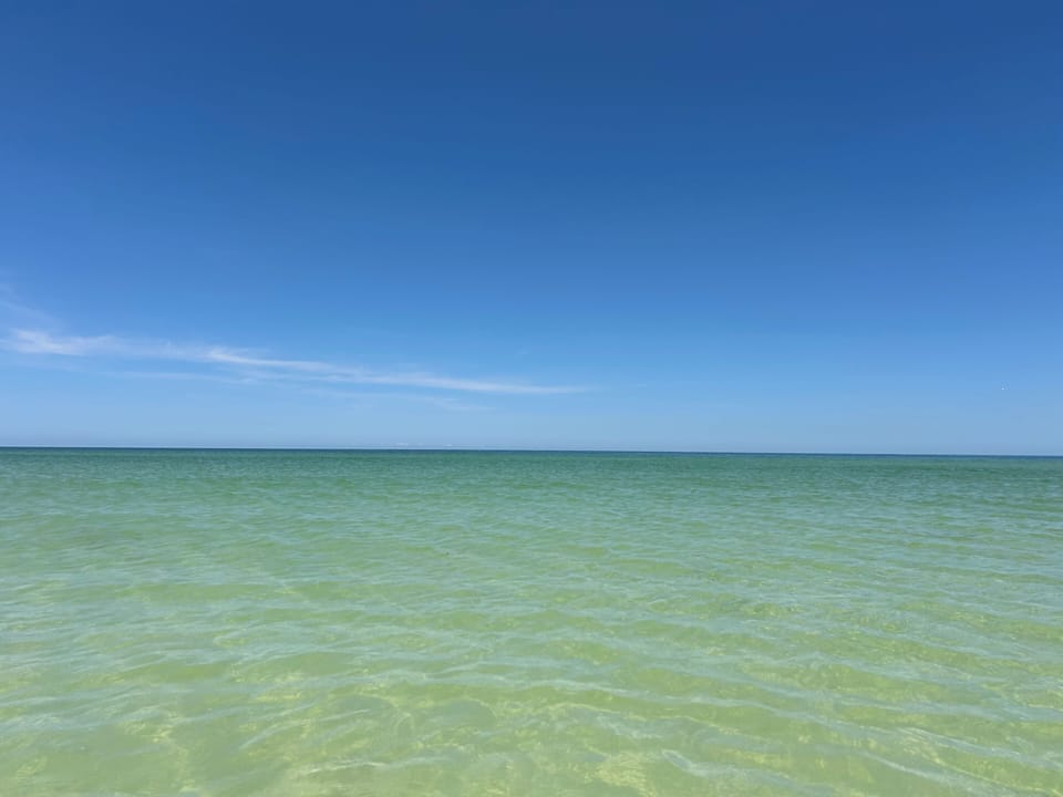 Honeymoon Island, perfect for a beach day in unspoiled nature. Only 8 mi away! 