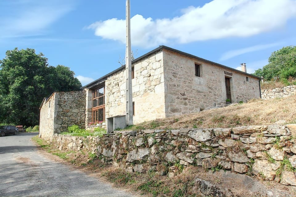 Back view
