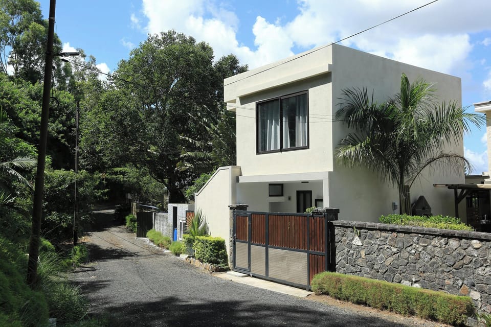 Back view